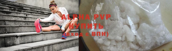 стафф Алексин