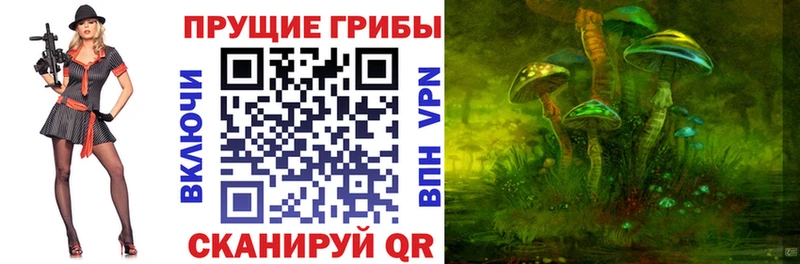 дарнет шоп  Похвистнево  Галлюциногенные грибы Cubensis 