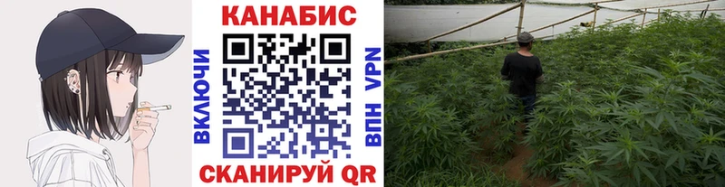 Бошки марихуана SATIVA & INDICA  Похвистнево 